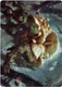 ZNRART-073 Swarm Shambler Art Card