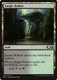 M21-247L Jungle Hollow (Foil)