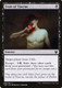 THB-096C Fruit of Tizerus