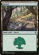 ELD-268L Forest