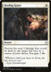 DOM-020C Healing Grace
