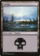 DOM-261L Swamp
