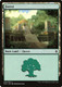 XLN-276L Forest