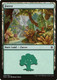 XLN-278L Forest