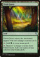 C17-291U Vivid Grove