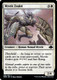 DMR-016C Mystic Zealot (Foil)
