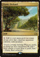 PCA-117R Exotic Orchard