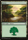 C16-349L Forest