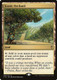 C16-295R Exotic Orchard