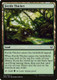 DDR-027C Fertile Thicket