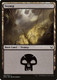 DDR-067L Swamp