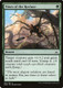 OGW-146C Vines of the Recluse