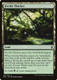 BFZ-237C Fertile Thicket