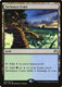 ORI-252R Yavimaya Coast