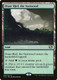 C14-305R Oran-Rief, the Vastwood