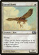 M14-040C Suntail Hawk