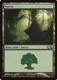 M14-248L Forest