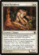 MMA-024C Pallid Mycoderm
