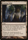 DDK-033C Evolving Wilds