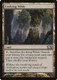 M13-224C Evolving Wilds (Foil)