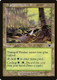 ONS-326C Tranquil Thicket