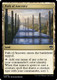 CMM-0423C Path of Ancestry