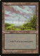 MIR-314L Swamp