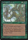 ALL-104C Yavimaya Ancients