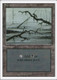 3ED-300L Swamp