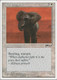 CHR-013C War Elephant