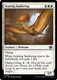 LCI-0035C Soaring Sandwing