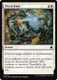 FDN-0572C Disenchant