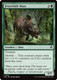 INR-0196C Festerhide Boar