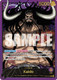 [ST04-001] Kaido (PCC Leader Collection) (Foil)