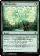 [SOS-0144](C) Efflorescence (Foil)