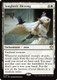 [SOC-0174](R) Songbirds' Blessing