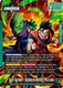 [FB10-049](L) Son Gohan : Youth/Piccolo