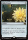 [MSC-0199](R) Gilded Lotus