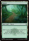 [HOB-0193](L) Forest (Foil)