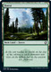 AFR-278L Forest (Foil)