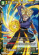BT17-097C SS Trunks, Super Warrior
