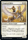 2X2-035C Wingsteed Rider (Foil)