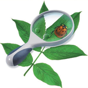 Edu-Toys #MG100 Magnifer 100mm Hand Held