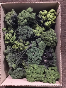 Scenic Textures Bulk Sedum Tree Pack