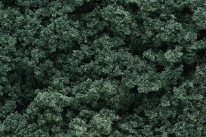 Woodland Scenics #FC59 Foliage Cluster Dark Green Woodland Scenics #FC59 Foliage Cluster Dark Green