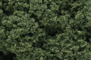 Woodland Scenics #FC58 Foliage Clusters Medium Green Woodland Scenics #FC58 Foliage Clusters Medium Green