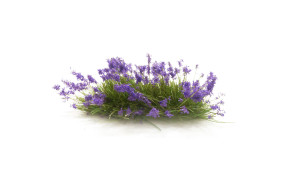 Woodland Scenics #FS772 Flowering Tufts-Violet 21 Pce Woodland Scenics #FS772 Flowering Tufts-Violet 21 Pce