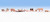 Noch #36712 N Pigs-12pces