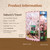 Tonecheer #TQ119  Book Nook 3D Puzzle Kit -Sakura"s Travel