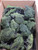 Scenic Textures #BT1 Bulk Trees-Dark Green